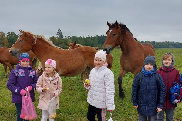 PAMOKOS KITOSE EDUKACINĖSE ERDVĖSE